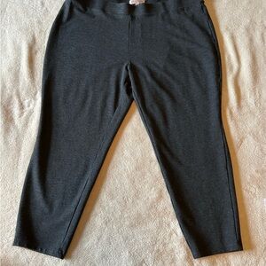 Philosophy Women's Gray Pants 3x